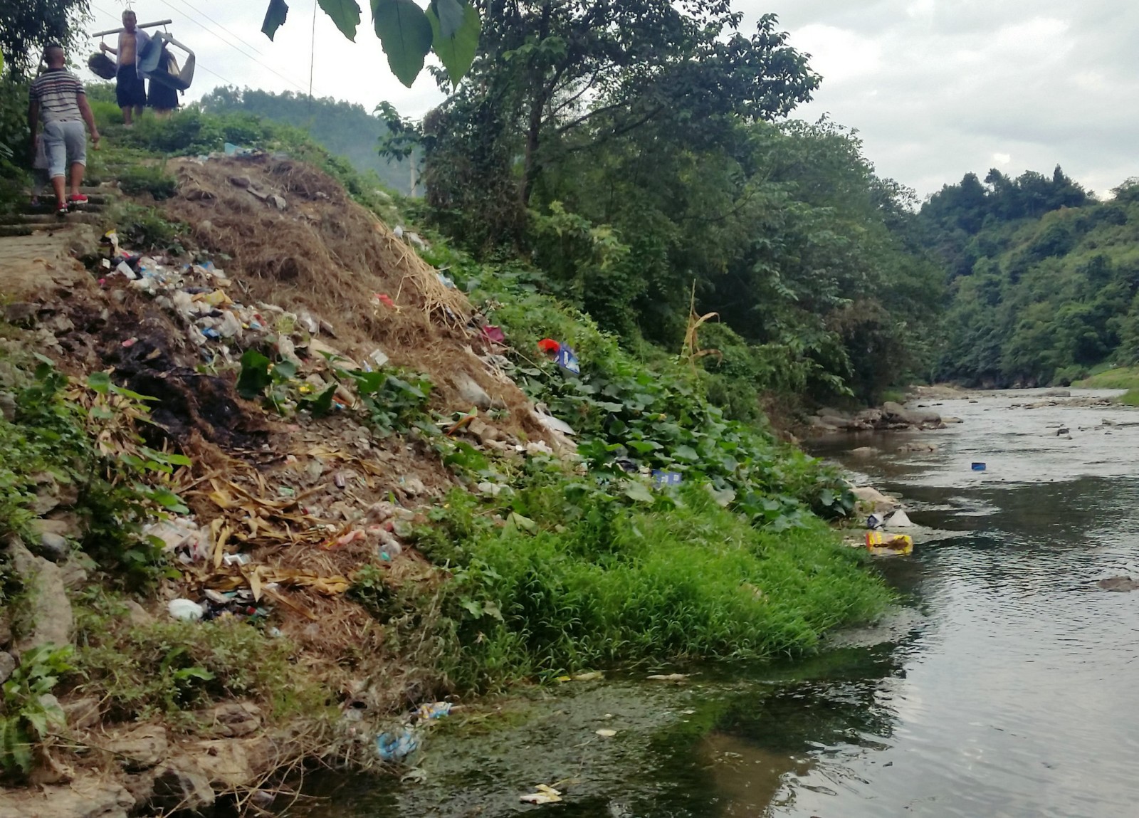 这样的河水被白色垃圾污染 能敢饮用吗_新浪看点