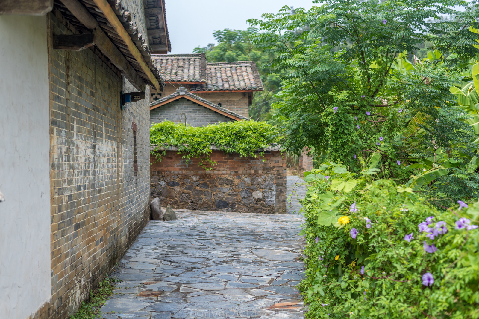 广西这座300年的古村,靠簸箕粉征服了城里人