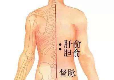 肝区疼痛位置图 按压图片