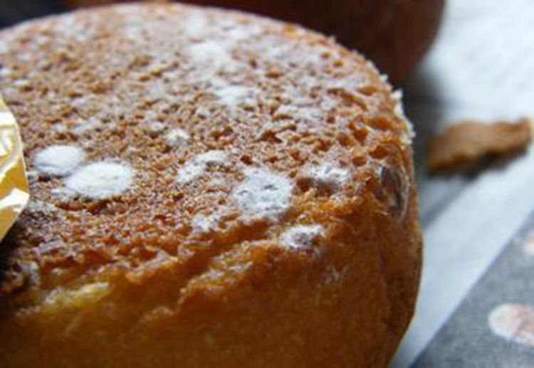 奶妈奶爸带娃出行最佳伴侣！博世灵动S300还你健康用车生活