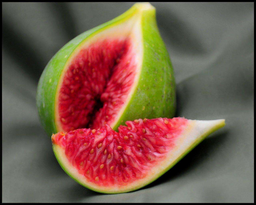 亚当和夏娃偷吃的"禁果"竟然不是苹果,而是