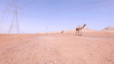 挑战陆巡、霸道！迪拜试驾20万左右最大国产旗舰SUV