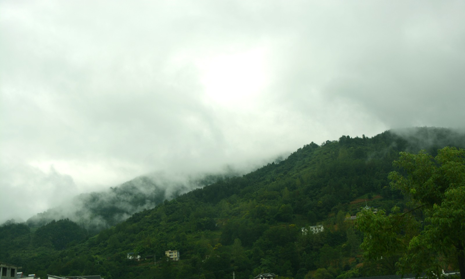 巍峨青山 你可见过它柔美的一面