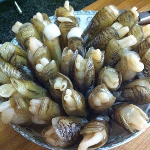 原汁原味的插蛏(蛏子)