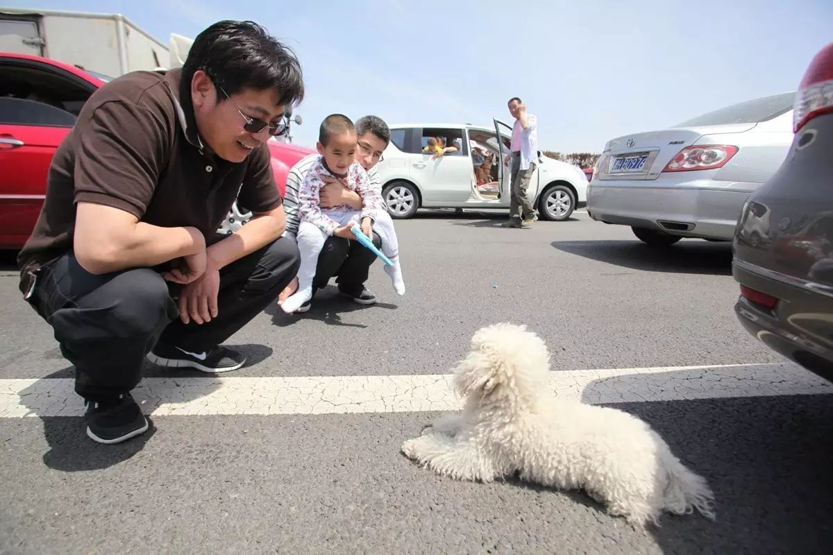 每年都会上演的高速聚会 你今年用什么姿势参与