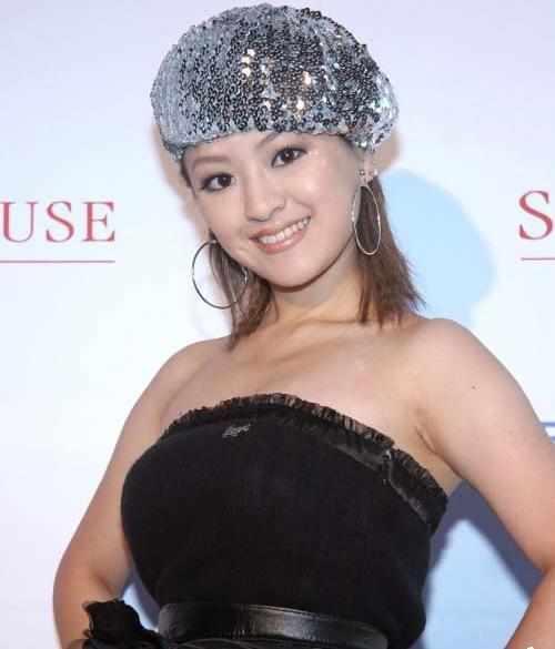 天地传说之宝莲灯》中,何嘉文饰演沉香师父田藟(徐锦江饰)的女儿田蕊