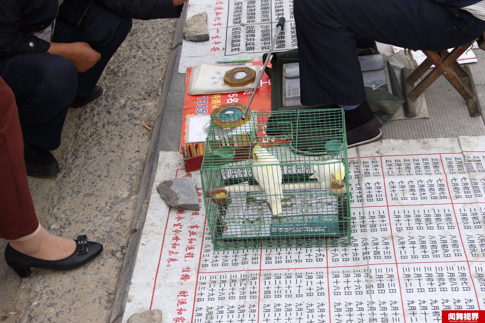 夫妻庙会同摆"神鸟"算命日赚千元 上厕所瞬间骗术被揭穿