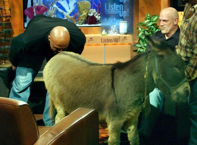 所以能取得成功并不是偶然,就只这情商联盟就