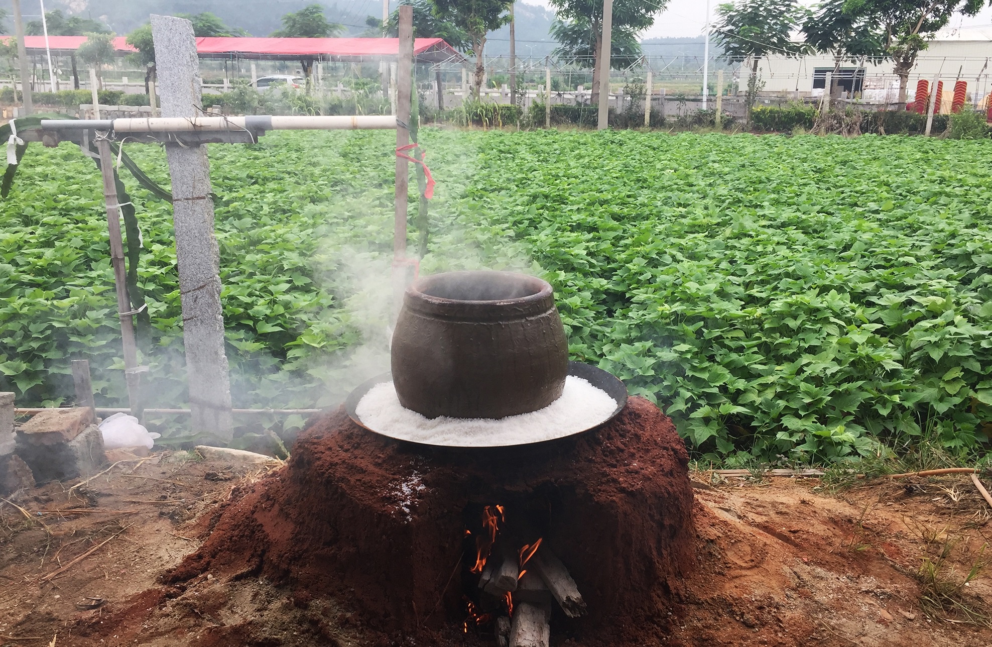 一块猪肉用土灶古法焖炖整整11个小时后,到底会有多好吃?