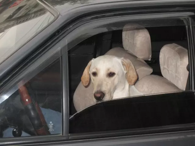 买SUV，究竟是真皮座椅好？还是布座椅实用？