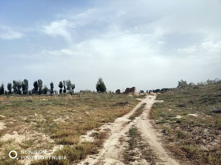 国庆节自驾实测最受欢迎的两个导航APP：越专业，越安心