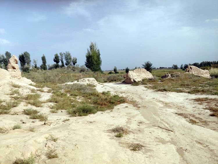 国庆节自驾实测最受欢迎的两个导航APP：越专业，越安心