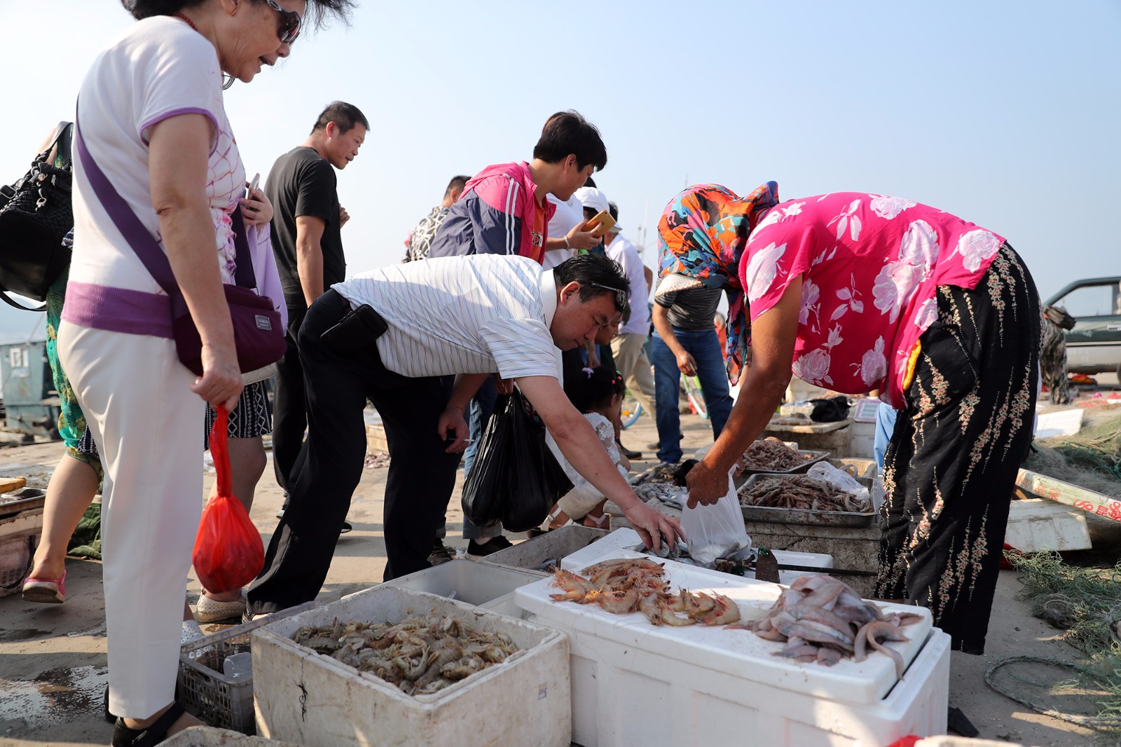 要吃新鲜海货还得到渔港码头海捕大虾绝对全城最低价