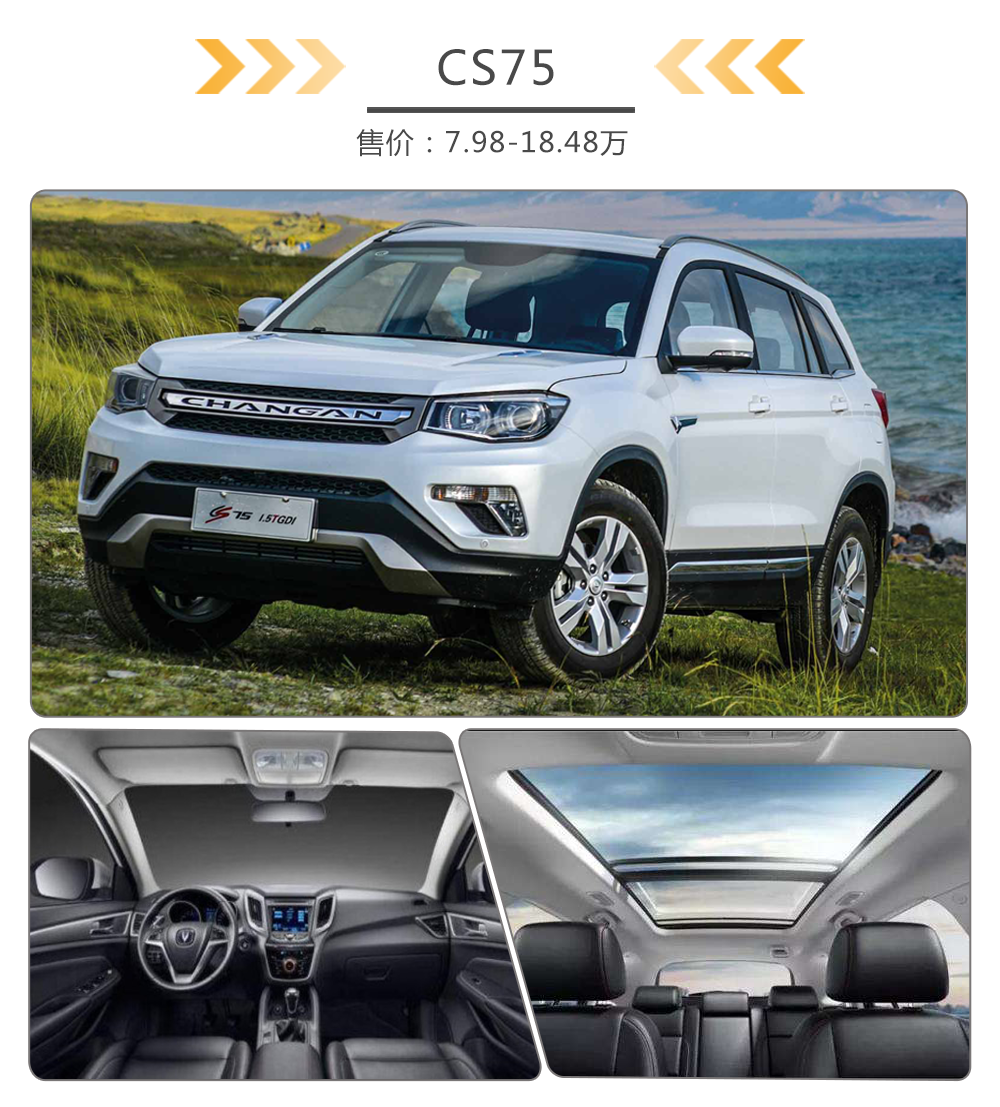 花一半钱买这些车 既安全轻松又有面子