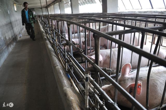 农村闲置房不想回收?不如拿它来做这几样发展