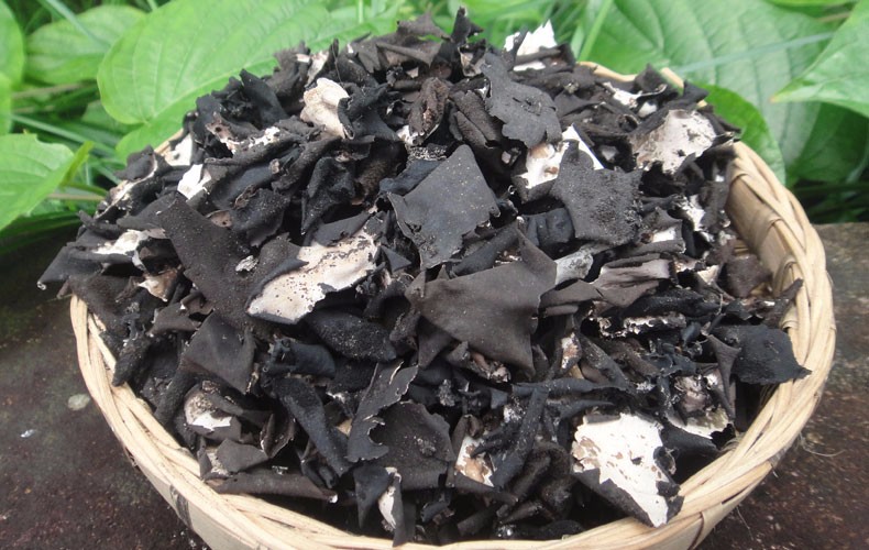 辨别真假,真岩耳干货浸泡在水里会有沙子沉淀.