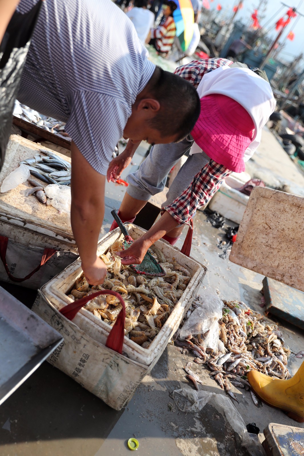 要吃新鲜海货还得到渔港码头海捕大虾绝对全城最低价