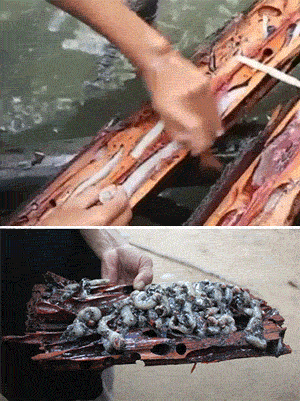 300_401竖版 竖屏gif 动态图 动图