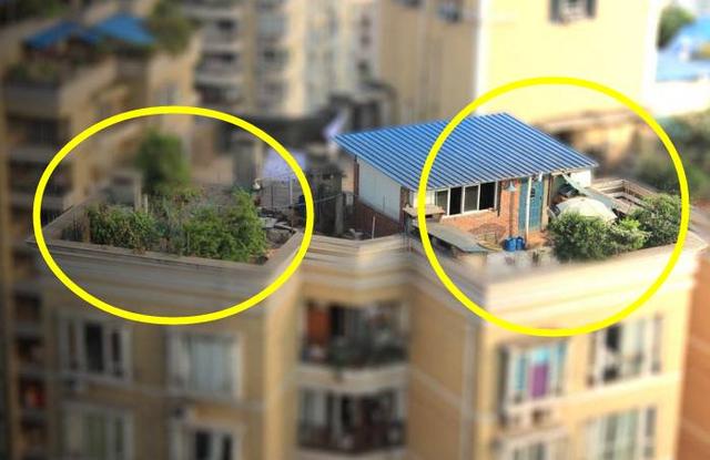楼顶这样做隔热，就算住顶楼也冬暖夏凉，太聪明了