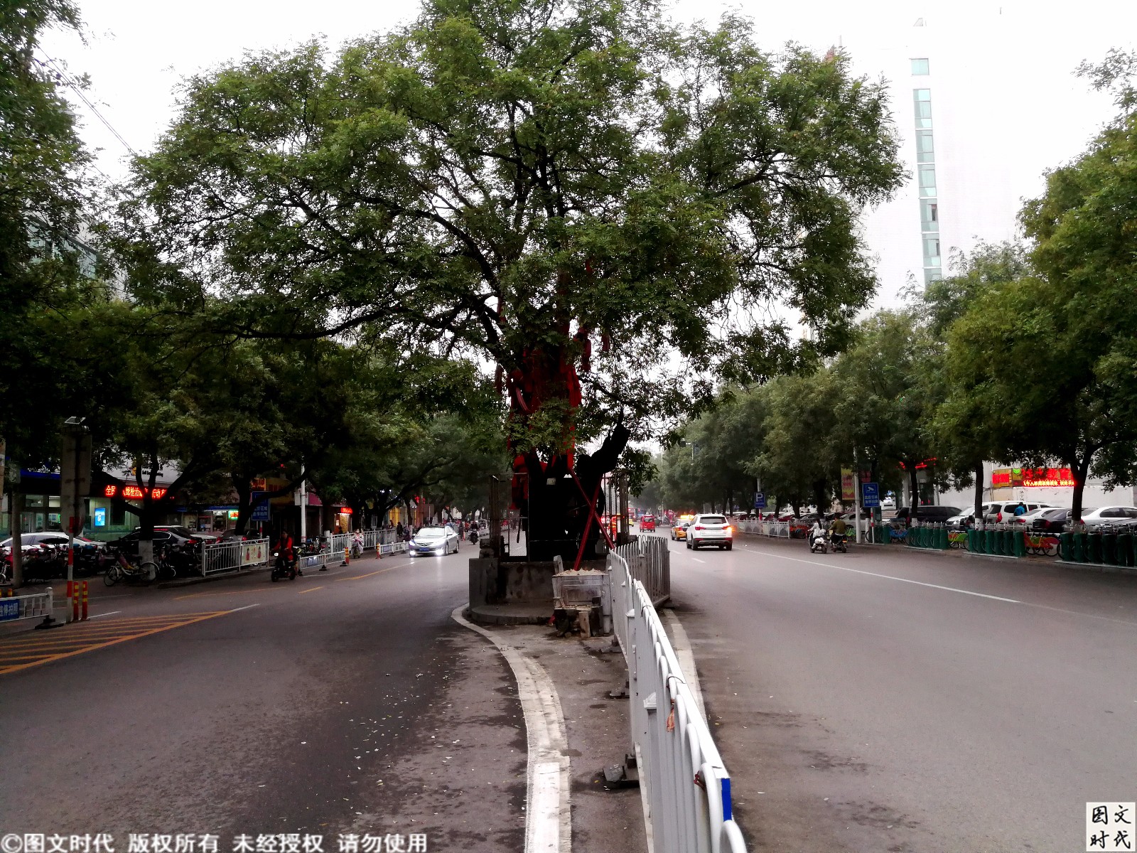 山阳古槐,是济宁的标志之一,古槐路在修路的时候,也未被动一枝一根