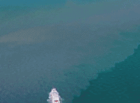 美国车=油老虎？这几款SUV表示这锅我不背！