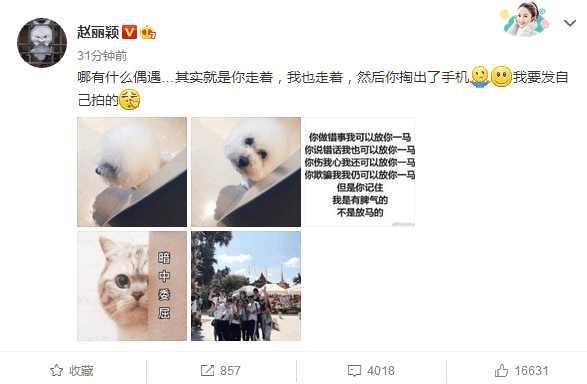 赵丽颖终于炸毛，我可以放你一马，但我不是放马的