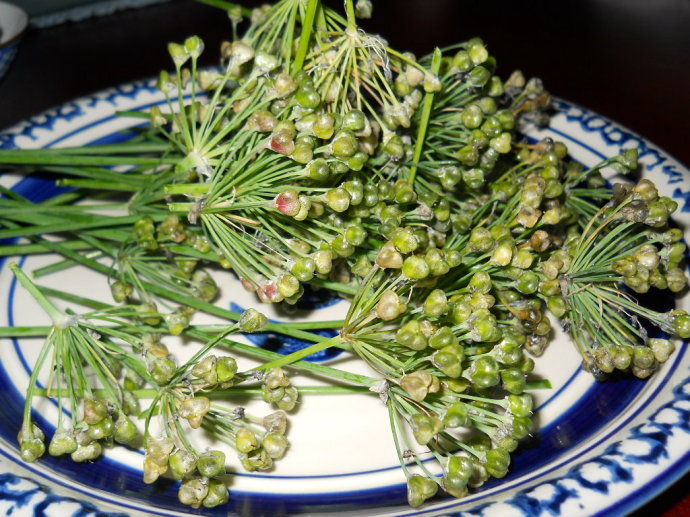 10块钱一斤这么贵,咋还有这么多人买,我以前都是直接扔了|韭菜|韭菜籽