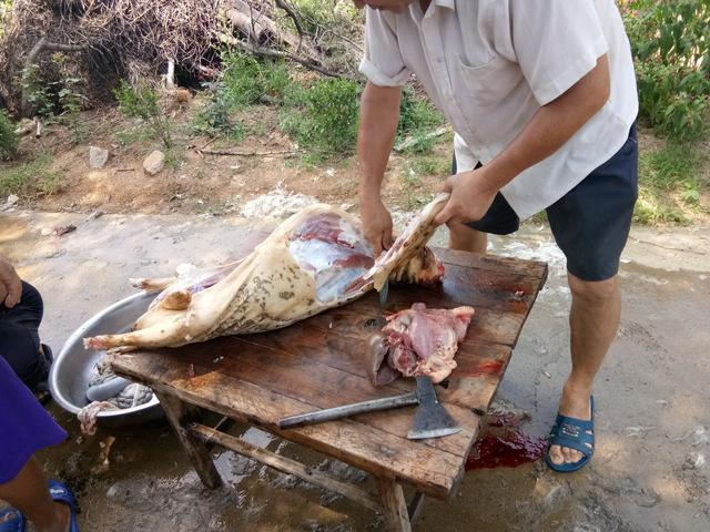 农家院里煮羊肉汤老林约起老伙计们杀羊来解馋