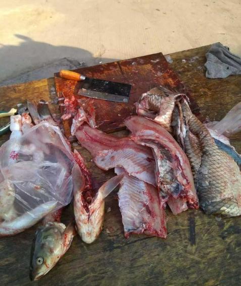 老伯虽然写错了一个字|老伯|鱼丸|鱼肉_新浪新闻