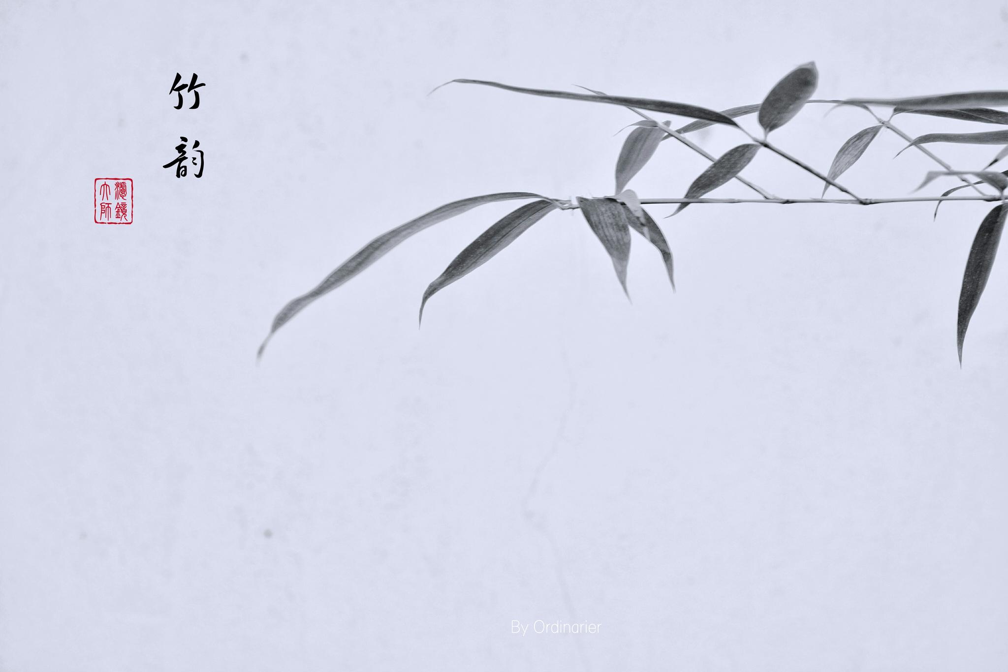 《墨》当图片遇上水墨色