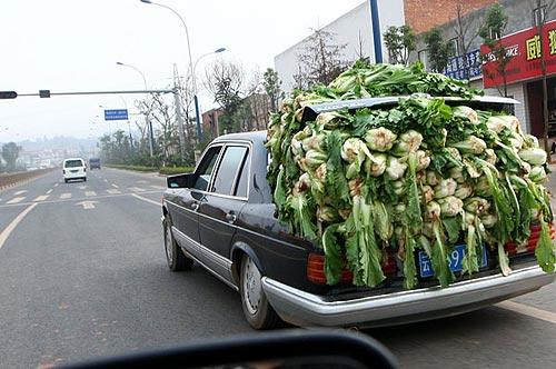开车有这些习惯，不是在加油，就是在去加油的路上