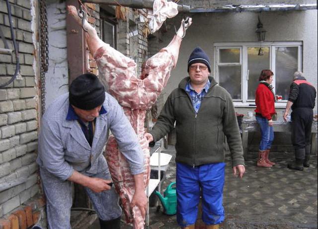 乌克兰杀猪图片图片