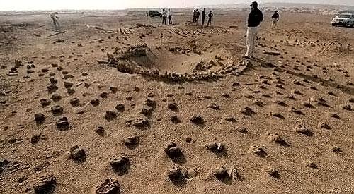 新疆古楼兰人是月氏人,墓地被称作太阳墓葬,崇拜神秘数字"7"