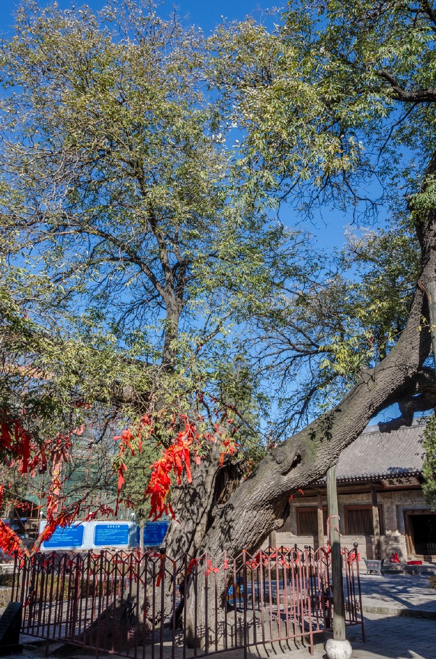 這座寺廟被列入世界文化遺產,2052尊彩塑佛像成無價之寶