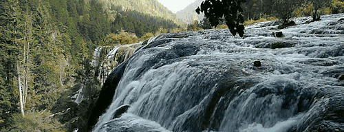 500_192gif 动态图 动图