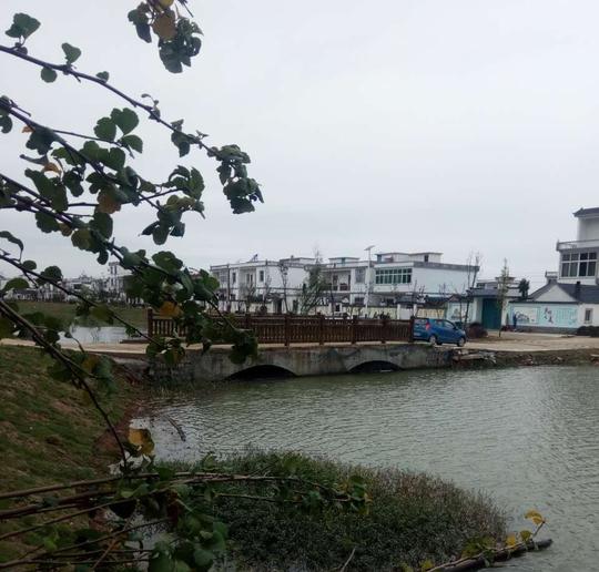 蚌埠市五河县小圩镇发挥农民主体作用,着力打造宜居村庄,在美丽乡村