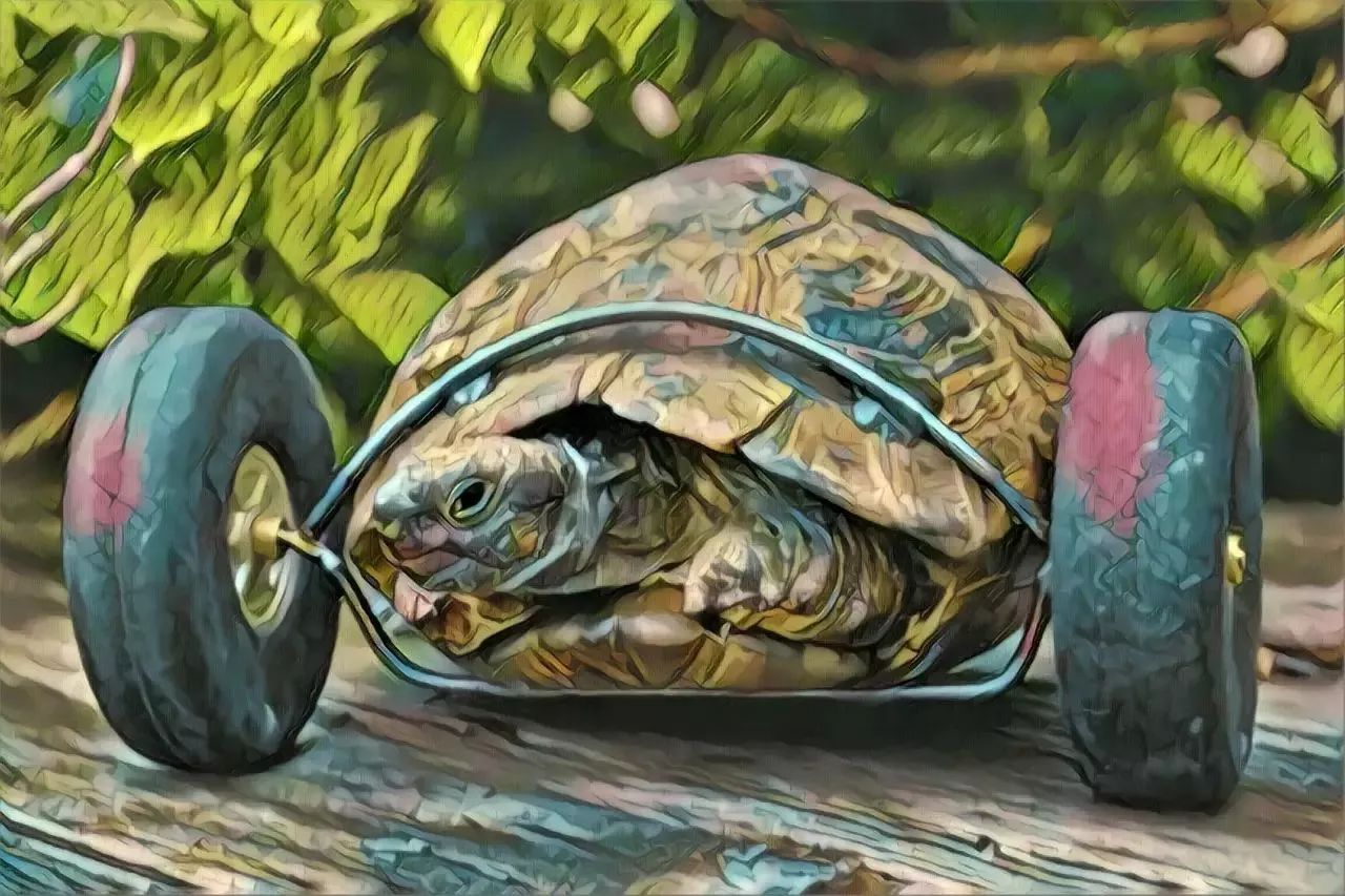 都到什么年代了，这些省油秘籍就别信了