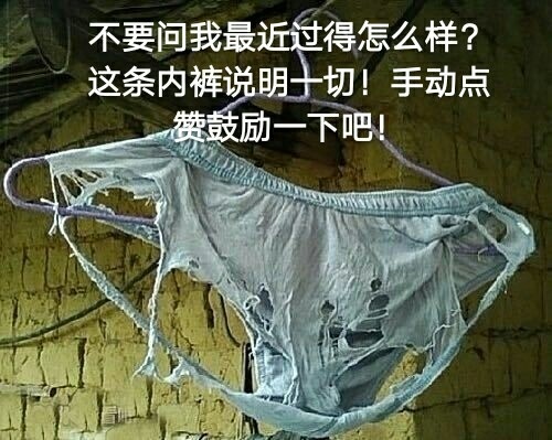 不要问我过得怎样,这条内裤说明一切