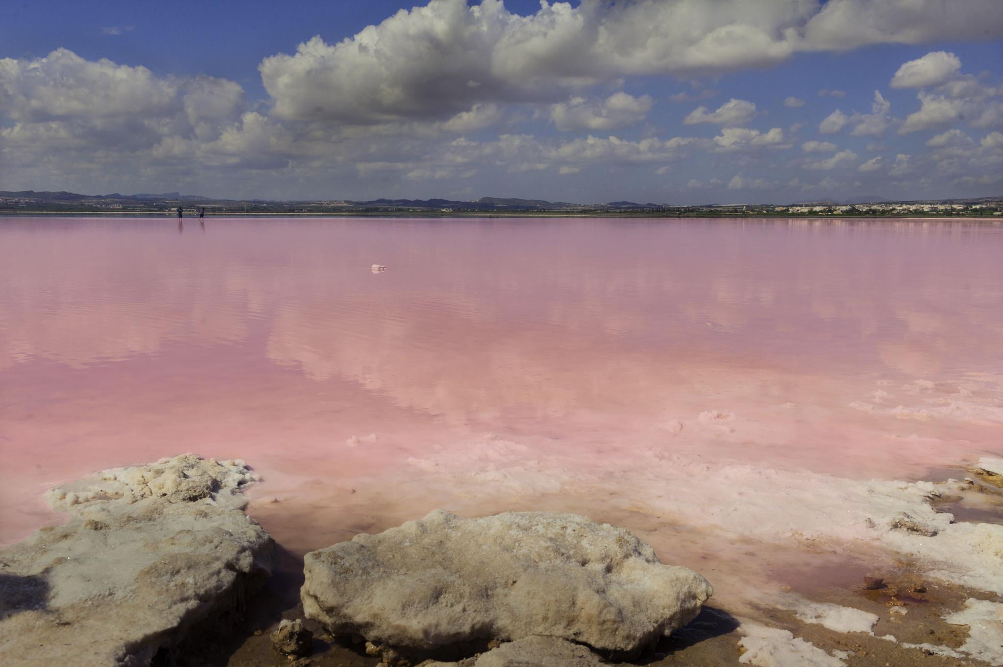 西藏唯一的粉色盐湖！最美的“天空之境”_扎布耶