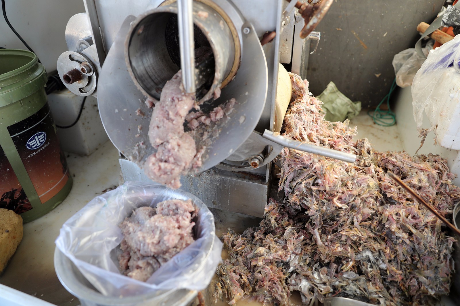 新鲜小黄花鱼遇上碾压神器瞬间变鱼肉酱 几道工序便成了入口美味|肉酱