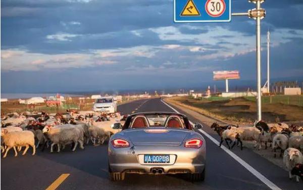 上千万的超级跑车，来到川藏线全部认怂，爬山还是它们强