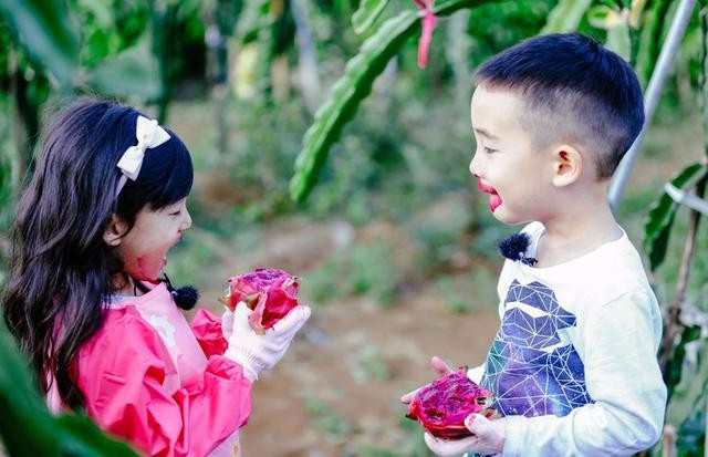 jasper吃火龙果,吃出和欧阳锋同款香肠嘴