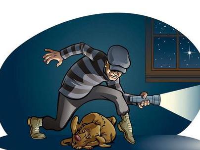 如果抄袭者并没有对被抄袭者后来的市场产生什么恶劣影响也就罢了,但