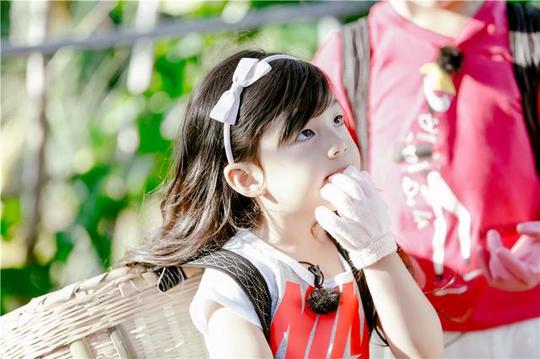 芒果台亲子档节目出新招,81岁谢贤领衔的《宝贝的新朋友》来了