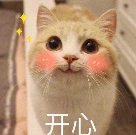 这么可爱的猫咪大概只有这一只了,天生自带微笑脸看见心情就好了