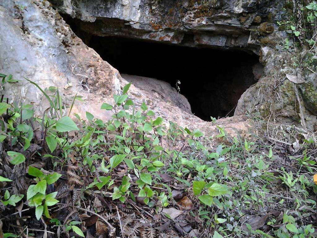 爬山的小伙子发现一个洞口, 听到里面传出呻吟声