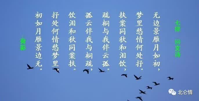 回文诗,中华文化独有的一朵奇葩