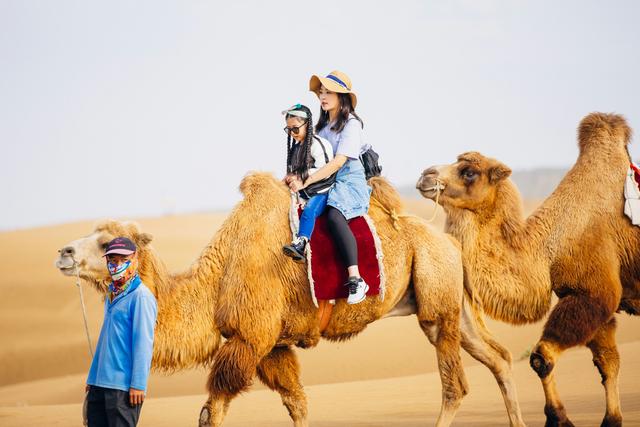 芒果tv《萌师驾到》携张含韵,龚俊内蒙古响沙湾录节目