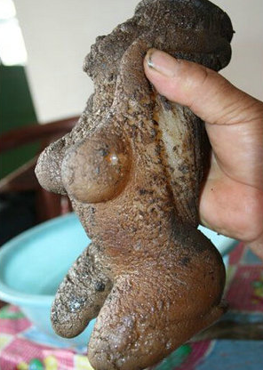 男子挖地挖出女子状物体,拿起来一看吓得他直哆嗦!
