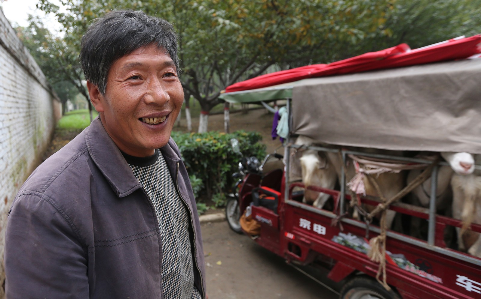 夫妇街头卖现挤羊奶10元一斤供不应求